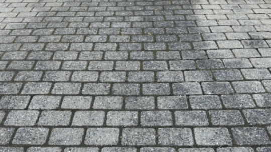 Indkørsel før fliserens med mørke belægninger og alger mellem stenene