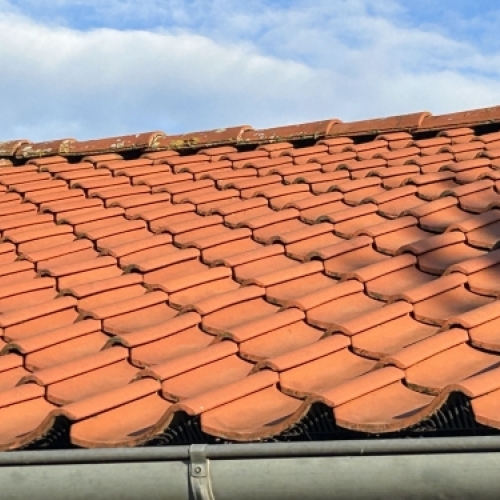 Rent tegltag efter algebehandling af tag med synligt forbedret overflade