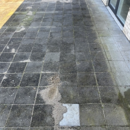 Mørk terrasse før fliserens med alger og snavs mellem fliserne