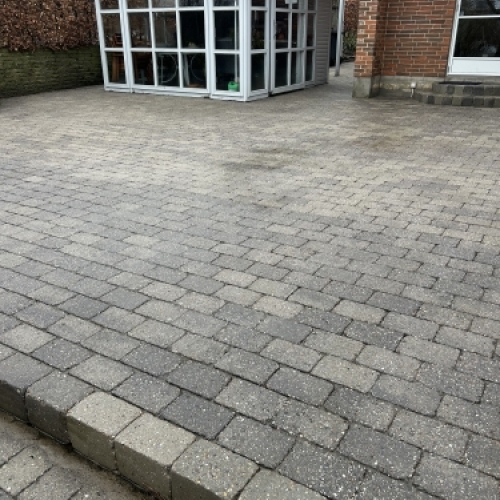 Belægning før fliserens med synlige alger og misfarvninger