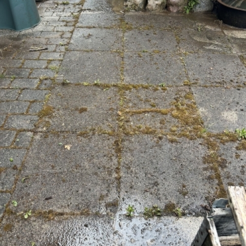 Fliserens af gangareal ved bolig med jævn og ren overflade