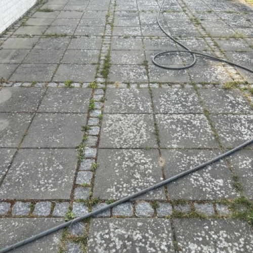 Terrasse før fliserens med synlige alger og misfarvninger på overfladen