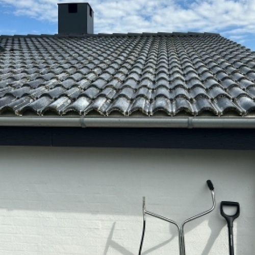 Tag med alger før algebehandling af tag og rensning