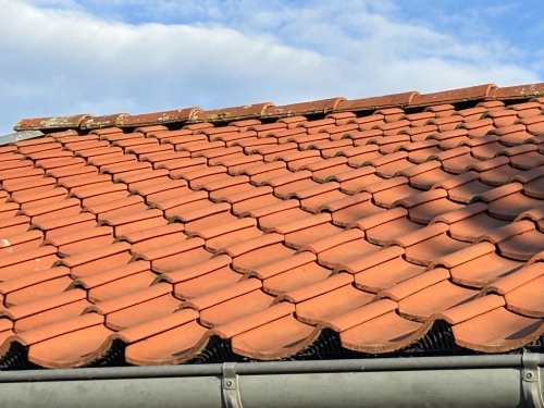 Rent tegltag efter algebehandling af tag med synligt forbedret overflade