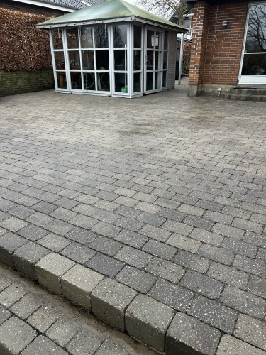 Belægning før fliserens med synlige alger og misfarvninger