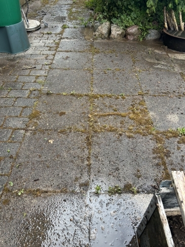 Fliserens af gangareal ved bolig med jævn og ren overflade