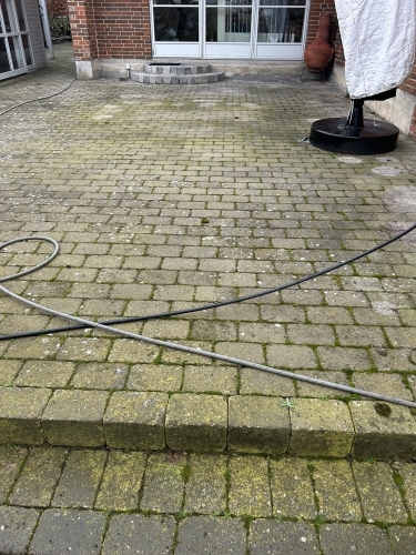 Fliserens med fjernelse af mos og alger mellem fliser