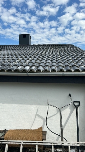 Tag med alger før algebehandling af tag og rensning